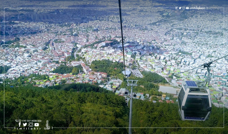 The Magnificent Uludag Mountain and Historical Plane Tree