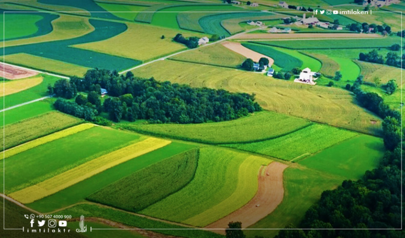 Prices of agricultural and residential land in Turkey