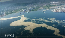 Inscription de la mer de Marmara dans les zones environnementales protégées à Istanbul