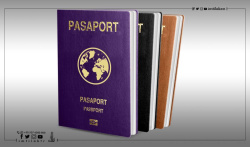 What are the advantages of a Turkish passport?