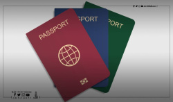 What are the types of Turkish passports?