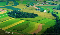 Prices of agricultural and residential land in Turkey