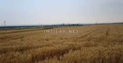 Land For Sale In Turkey - Invest In Istanbul Real Estate